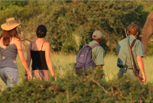 4-tägige Kleingruppentour auf der Garden Route ab Kapstadt
