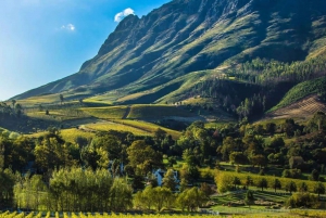 Safari privé de 5 jours sur la Route des jardins au départ du Cap