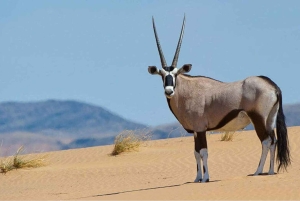 5 Day Garden Route Private Safari from Cape Town