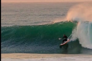Garden Route Tour nach Kapstadt [5 Tage] : Port Elizabeth