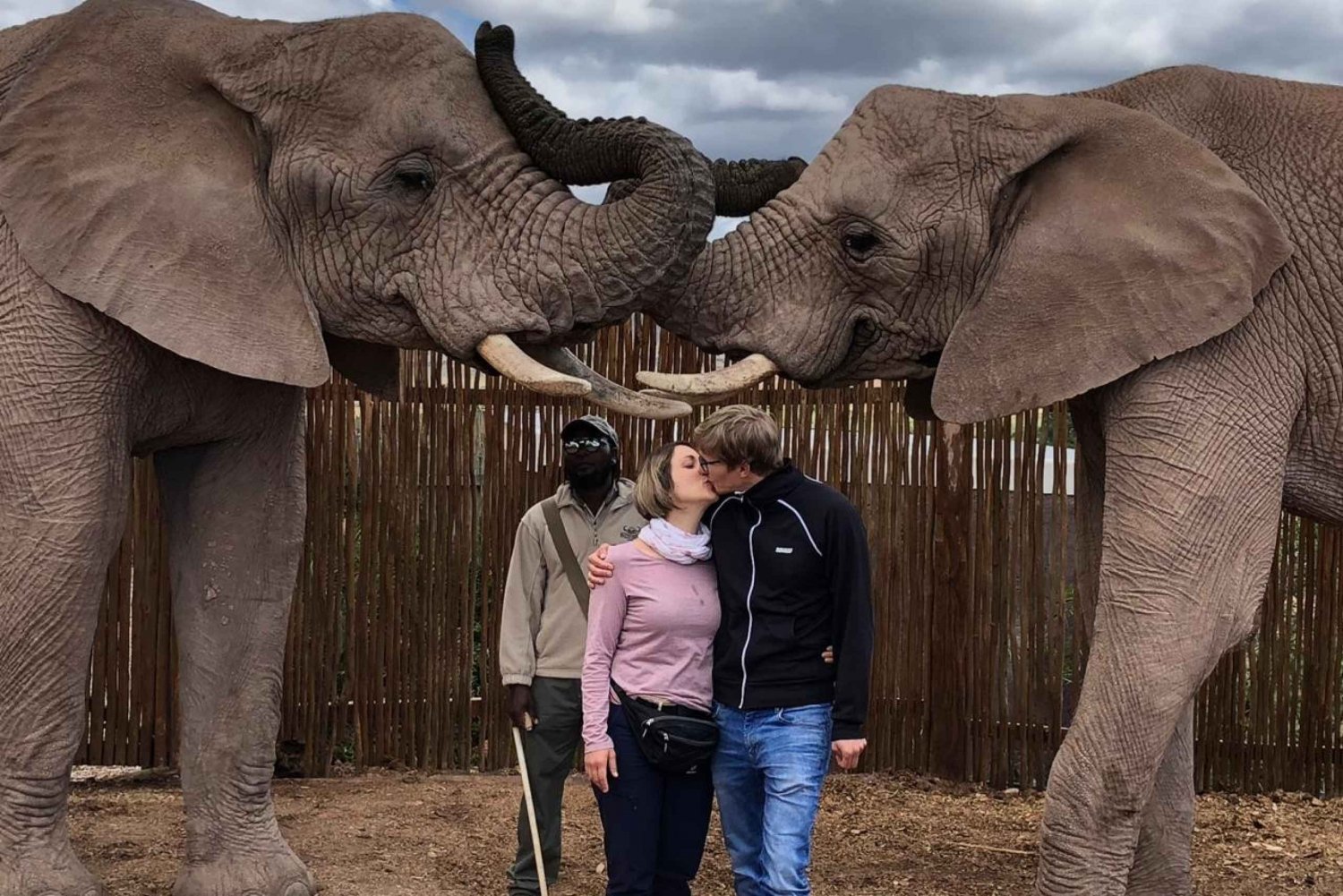 Safari Privado de Lujo de 5 Días Ruta Jardín Clásica desde CPT