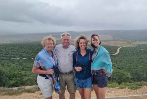 5 dages privat luksussafari Garden Route Classic fra CPT