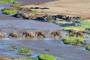 Tour en grupo reducido de 5 días por la Ruta de los Jardines desde Ciudad del Cabo