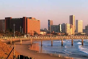 Tour en grupo reducido de 5 días por la Ruta de los Jardines desde Ciudad del Cabo