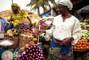 Tour en grupo reducido de 5 días por la Ruta de los Jardines desde Ciudad del Cabo