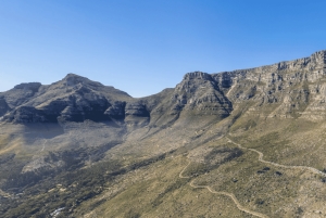 Tour di 5 giorni in Sudafrica: Città del Capo, safari e Garden Route