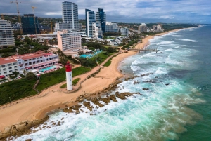 Tour di 5 giorni in Sudafrica: Città del Capo, safari e Garden Route