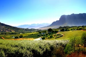 7 Days and 6 Nights Mother City Cape Town Tour