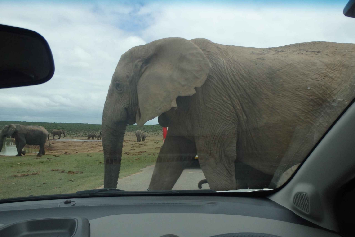 Addo: tour safari nel Parco Nazionale degli Elefanti di Addo