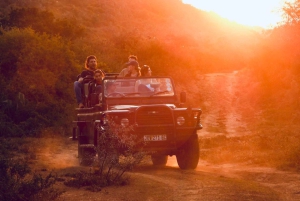 Addo: Bellevue Forest Guided Giraffe Walking Safari