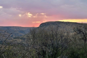 Addo Elephant & Mountain Zebra-Nationalpark: 2-tägige Safaris