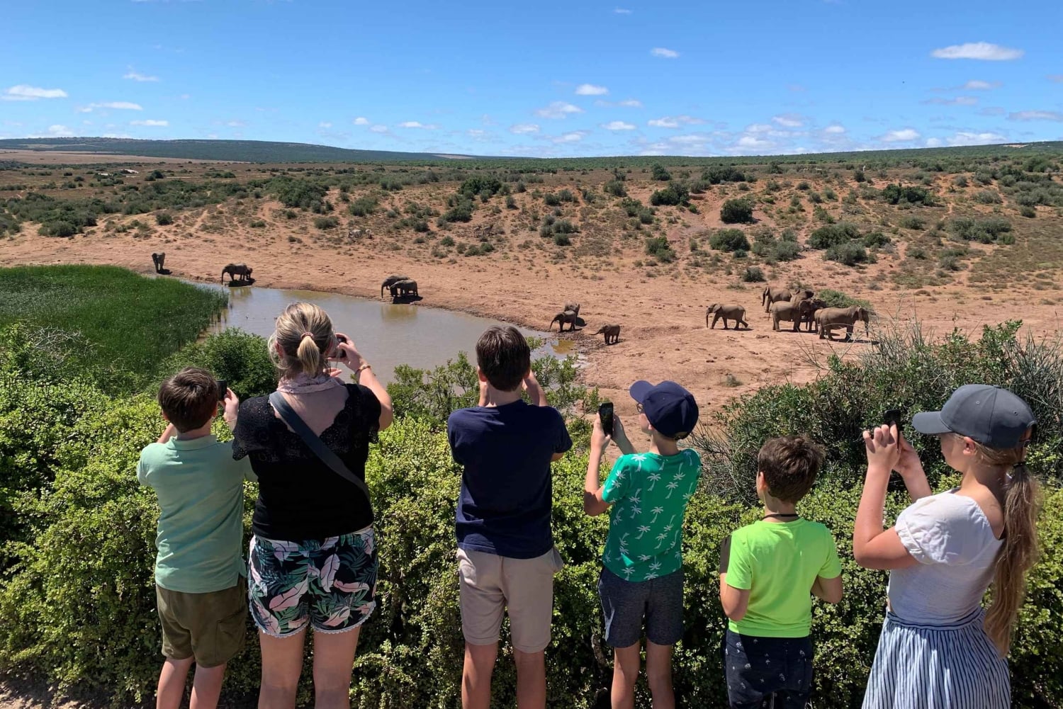 Parque Nacional de Elefantes de Addo: safari de día completo con todo incluido