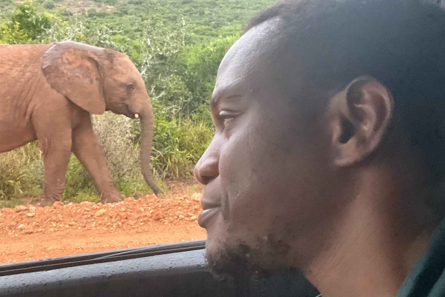 Национальный парк слонов Аддо: Сафари-тур с гидом