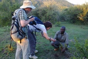 Addo Elephant National Park (halve dag game drive)