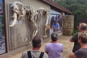 Addo Elephant National Park Halvdagssafari