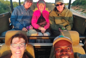 Addo Elephant National Park: Morning Half Day Safari