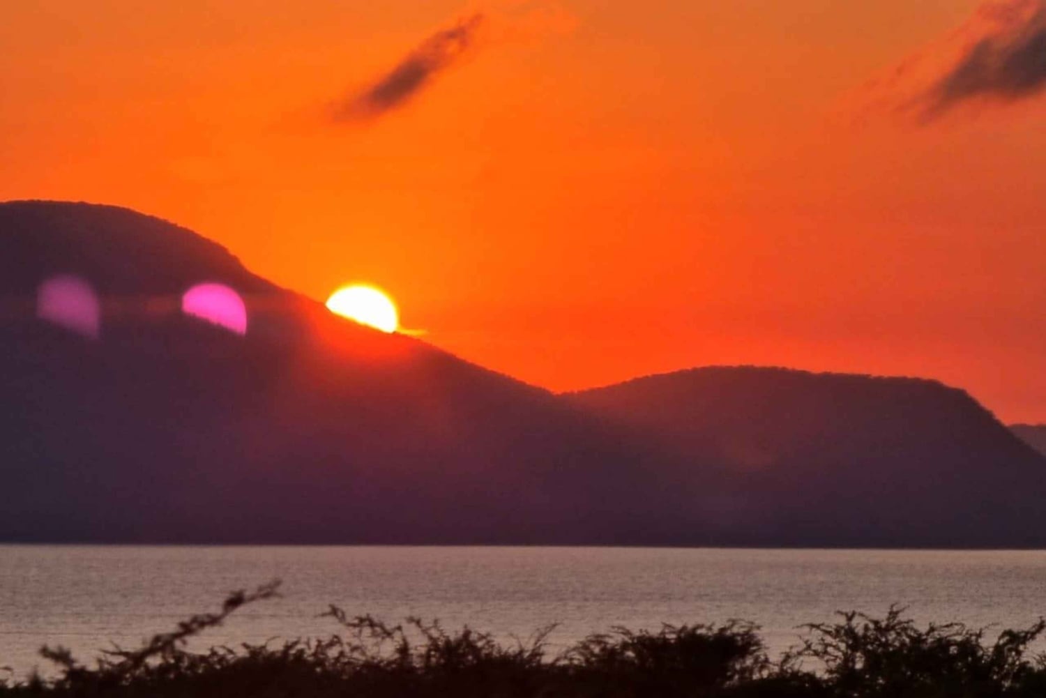 Addo Elephant National Park Tour with Boat Cruise