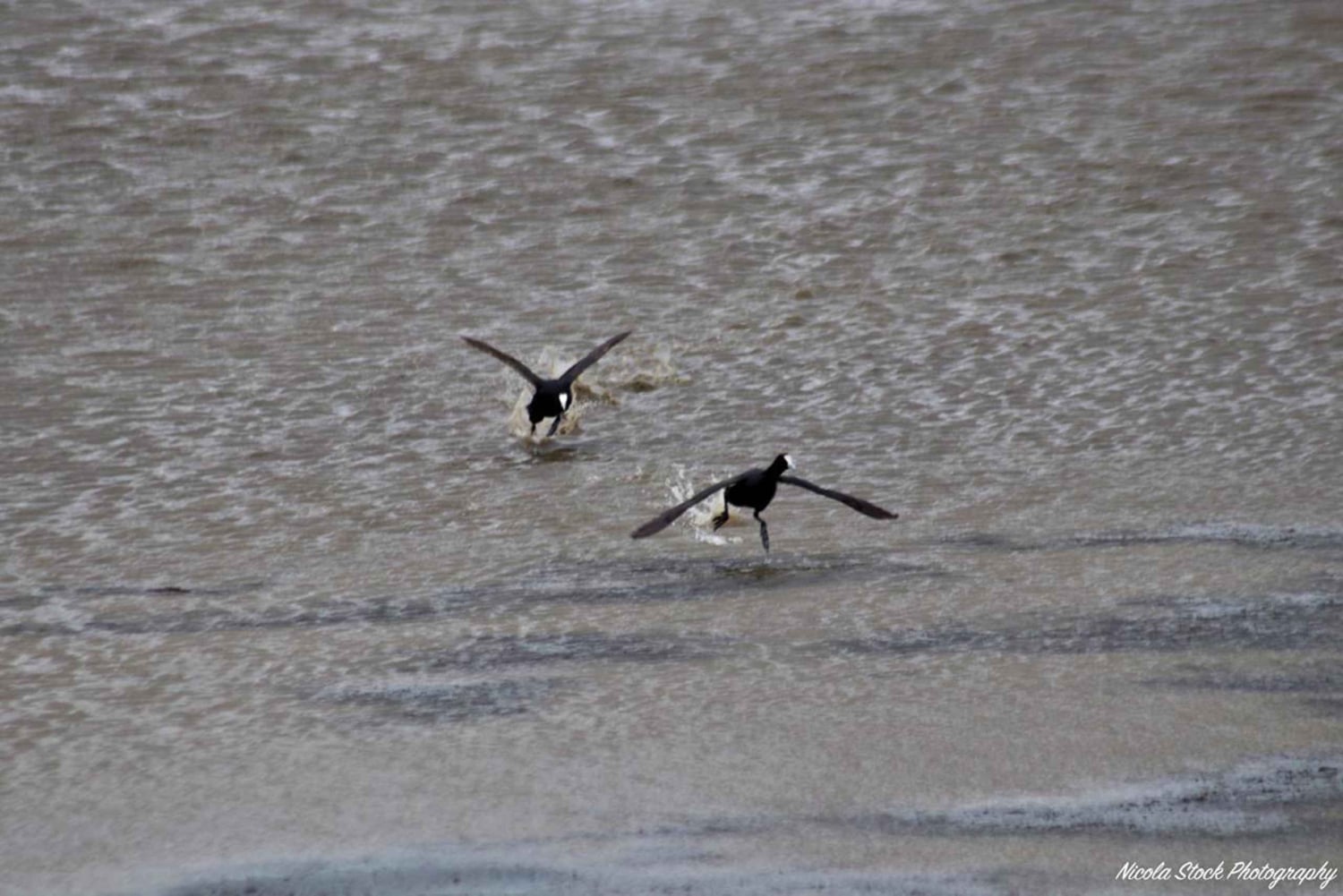 Addo Elephant National Park Tour with Boat Cruise
