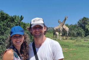 Addo Elephant Park and Giraffe Walk Full Day Safari