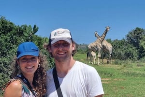 Addo Elephant Park and Giraffe Walk Private Full Day Safari