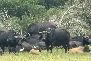 Addo Elephant Park i Kragga Kamma Game Park w zestawie