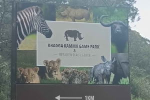 Addo Elephant Park i Kragga Kamma Game Park w zestawie