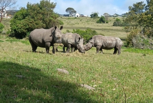 Addo Elephant Park i Kragga Kamma Game Park w zestawie