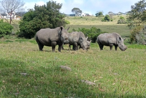 Addo Elephant Park i Kragga Kamma Game Park w zestawie