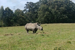 Addo Elephant Park i Kragga Kamma Game Park w zestawie