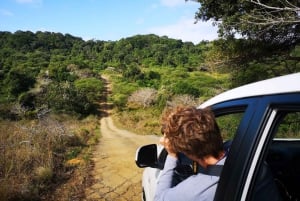 Addo Elephant Park: Big 7 Safari with Guide