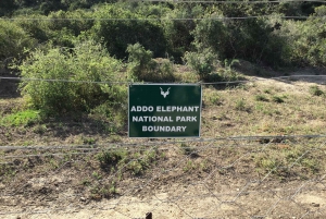 Addo Elefantpark: Heldagssafari / udflugter til lands