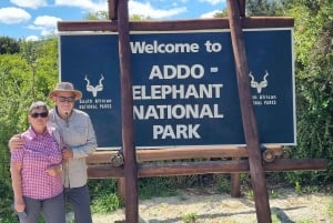 Addo Elephant Park: privétocht van een halve dag (OPEN 4x4-voertuig)