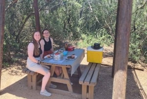 Addo Elephant Park: privétocht van een halve dag (OPEN 4x4-voertuig)