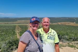 Addo Elephant Park: privétocht van een halve dag (OPEN 4x4-voertuig)