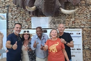 Addo Elephant Park: passeio de safári com os Big 5 para você ficar satisfeito