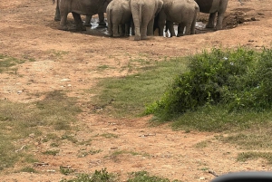 ADDO ELEFANTPARK