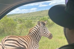 ADDO ELEFANTPARK
