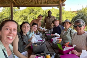 Safari de dia inteiro em Addo: Almoço/Bebidas/Pick/Drop-Off Incluídos