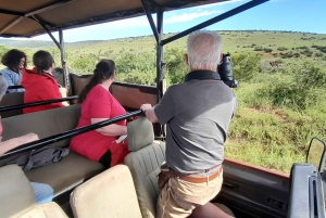 Safari de dia inteiro em Addo: Almoço/Bebidas/Pick/Drop-Off Incluídos