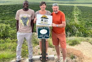 Safari de dia inteiro em Addo: Almoço/Bebidas/Pick/Drop-Off Incluídos