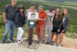 Safari de dia inteiro em Addo: Almoço/Bebidas/Pick/Drop-Off Incluídos