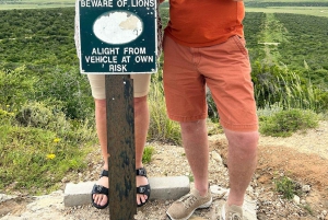 Safari de dia inteiro em Addo: Almoço/Bebidas/Pick/Drop-Off Incluídos