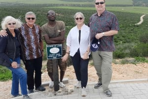 Addo Full Day Safari: Lunch/Drinks/Pick/Drop-Off Included