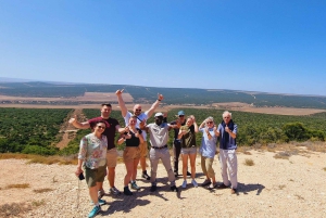 Addo Full Day Safari: Lunch/Drinks/Pick/Drop-Off Included