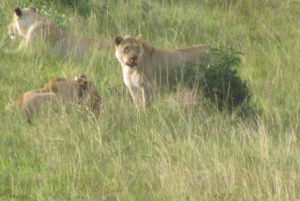 ADDO GAME DRIVE