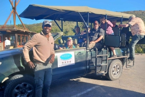 Parc national d'Addo et safari d'une journée à Schotia avec déjeuner