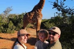 Addo Wildlife Experience: Giraffe Walk & Game Drive