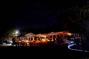 Addo Wildlife Reserve Sunset Safari + Bush Dinner: Gqeberha