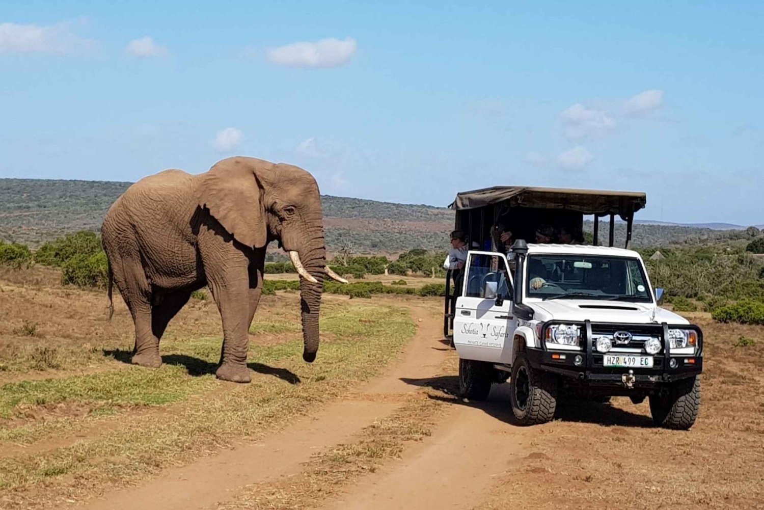 Afternoon Private Reserve Safari with Boma Dinner