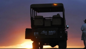 Alan Tours